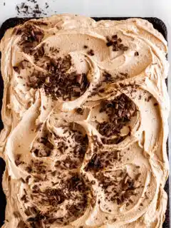 Vegan Chocolate Cake with Fluffy Espresso Buttercream garnished with chocolate shavings