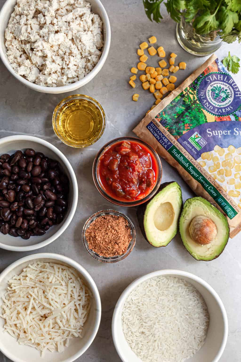 Easy Vegan Mexican Rice Casserole Oven Bake or Instant Pot Crumbs